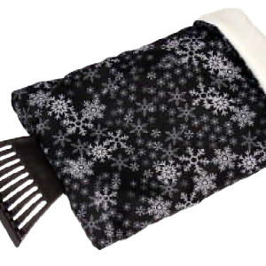 CAPAR.ro - Piese auto din 2006