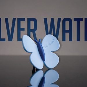 CAPAR.ro - Piese auto din 2006