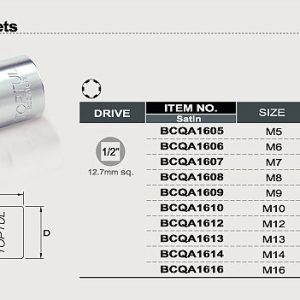 CAPAR.ro - Piese auto din 2006