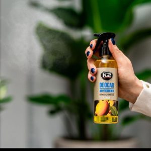 CAPAR.ro - Piese auto din 2006