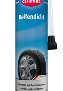 CAPAR.ro - Piese auto din 2006