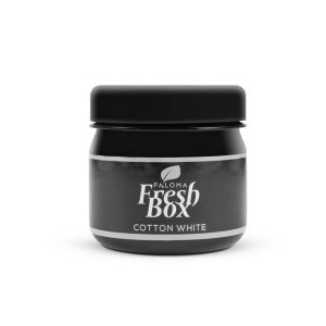 CAPAR.ro - Piese auto din 2006