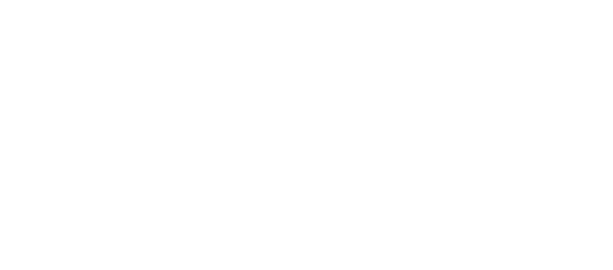 CAPAR.ro - Piese auto din 2006