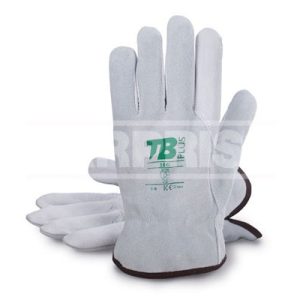 CAPAR.ro - Piese auto din 2006