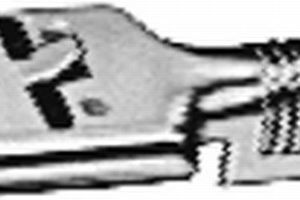 CAPAR.ro - Piese auto din 2006