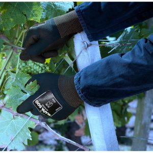 CAPAR.ro - Piese auto din 2006