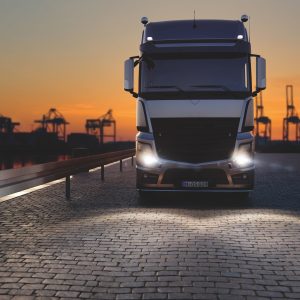 CAPAR.ro - Piese auto din 2006