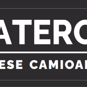 CAPAR.ro - Piese auto din 2006