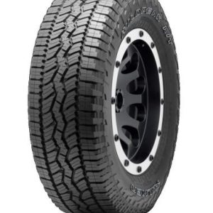 CAPAR.ro - Piese auto din 2006