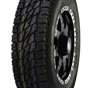 CAPAR.ro - Piese auto din 2006